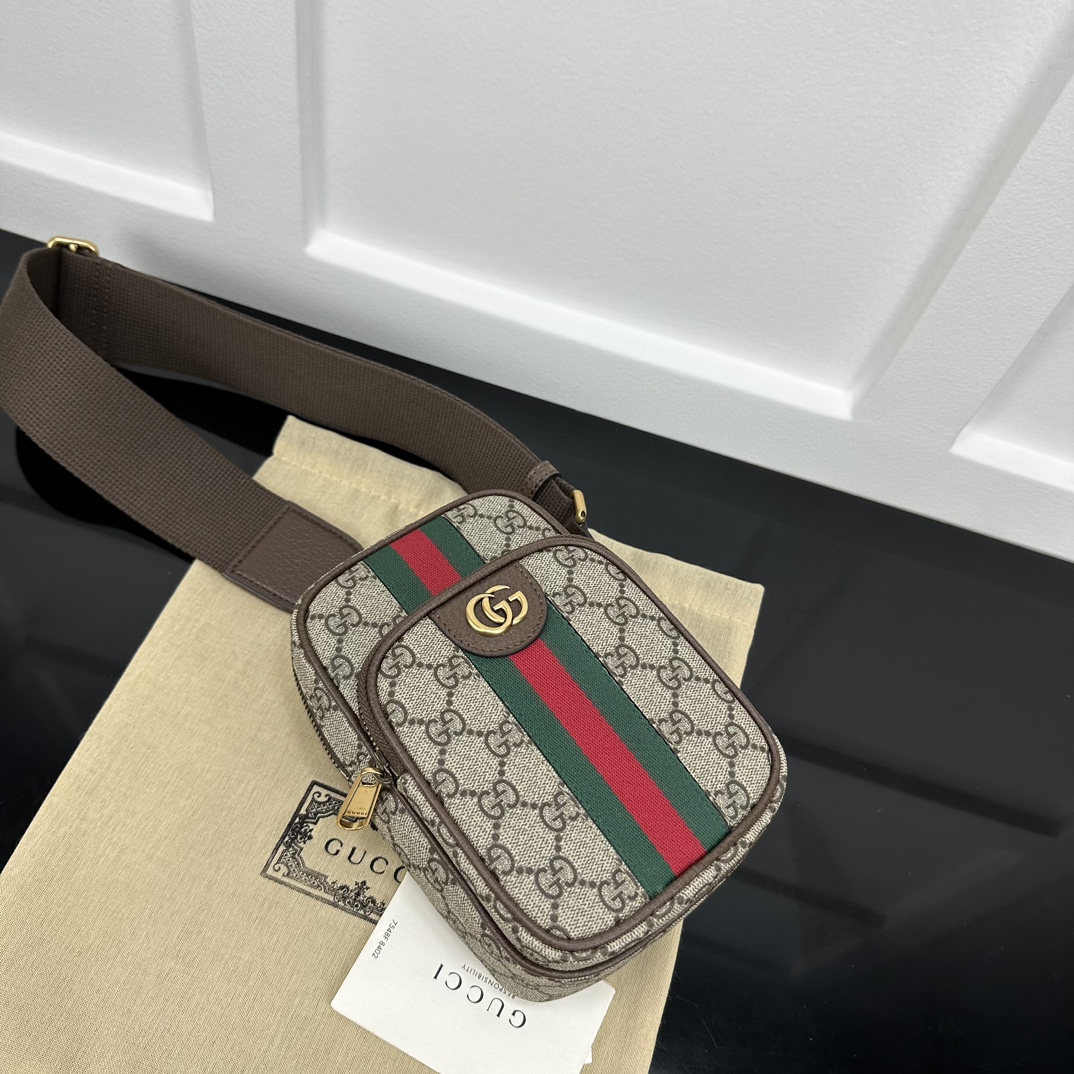 Gucci Satchel Bags